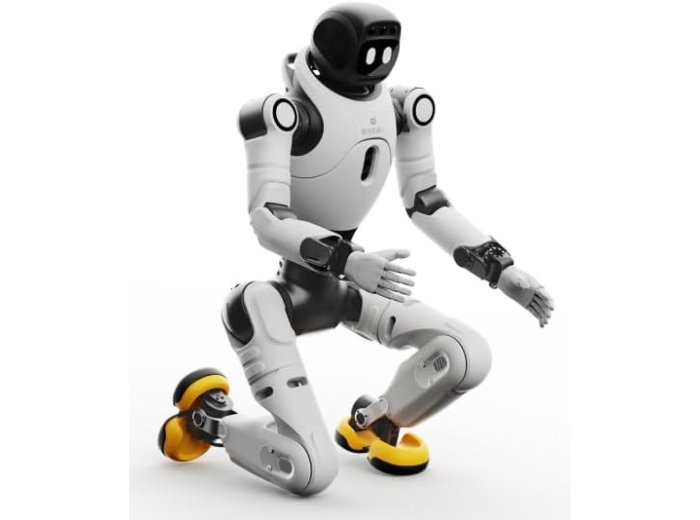 AGIBOT X2 Smart AI Robot Assistant, Intelligent Home Companion with Voice Interaction, Motion Control, HD Camera, Smart Navigation, Rechargeable Educational Robot for Home & Office